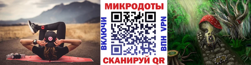 закладки  Гусь-Хрустальный  Галлюциногенные грибы ЛСД 