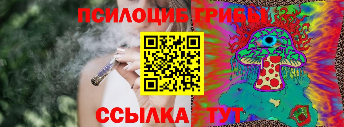 Галлюциногенные грибы GOLDEN TEACHER  Гусь-Хрустальный 