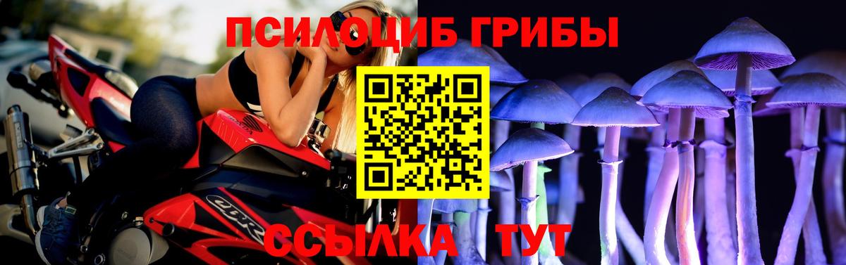 Гусь-Хрустальный  Псилоцибиновые грибы мухоморы  Вход с VPN 