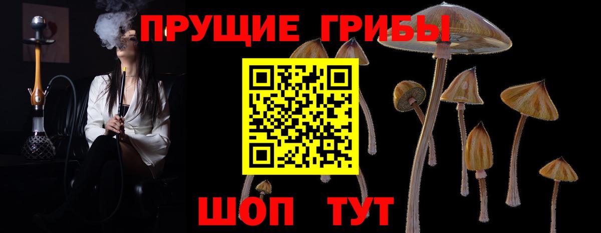 Галлюциногенные грибы мухоморы Гусь-Хрустальный
